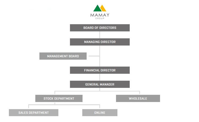 Group's Management structure