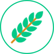 Commercial Crops Production icon