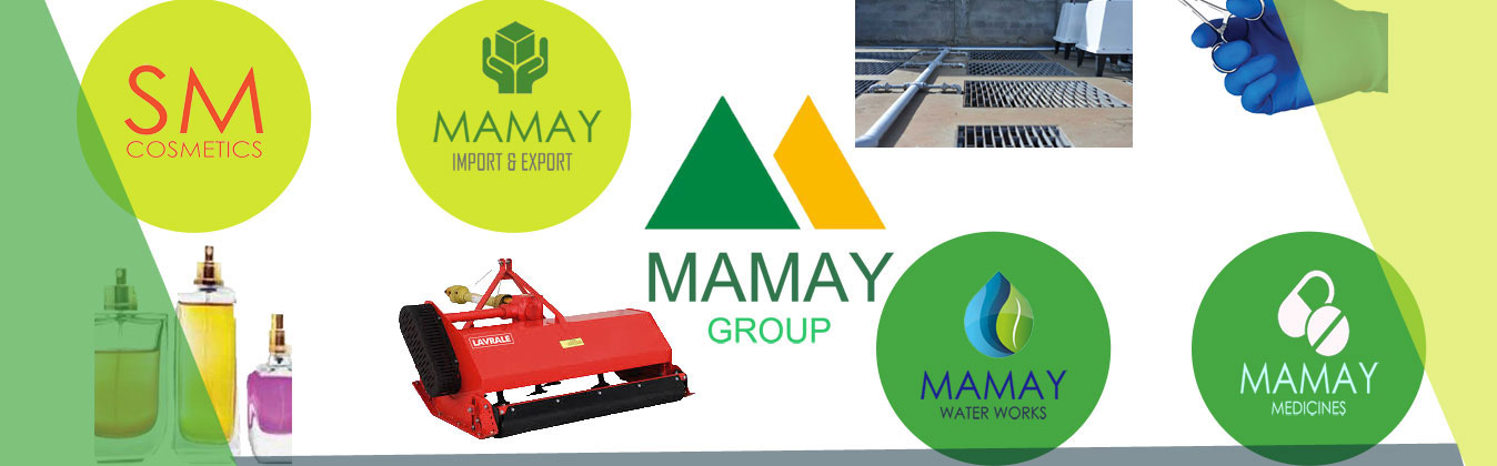 Businesses Of Mamay Group