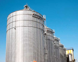 Grain storage silo